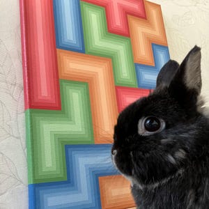 May include: A colorful abstract painting with a geometric design in shades of red, orange, green, and blue. A black rabbit is in the foreground, with its eye and ear visible. The artwork is mounted on a wall.