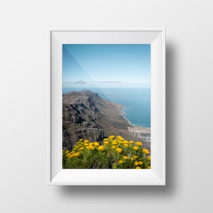 May include: A panoramic view from a mountaintop overlooking a coastline with a blue ocean and a rocky landscape. Yellow wildflowers are in the foreground.