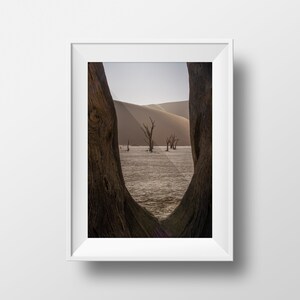 Peut inclure: Une photographie d'un paysage désertique prise à travers le cadre de deux grands arbres noueux. Les arbres sont au premier plan et le désert est en arrière-plan. Le désert est une vaste étendue de dunes de sable, avec quelques arbres morts éparpillés à travers le paysage.