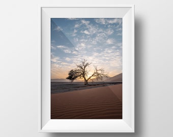 NAMIBIA TREE DUNE 45 | Poster Wandbild | Reise Geschenk | Afrika Südafrika