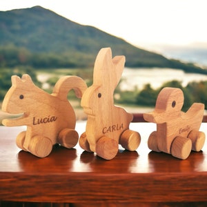 Personalized Wooden Toy Animals Squirrel Duck Rabbit , Personalized Baby Shower Gift, Animal Push Toy Car Personalized Gift for Toddlers