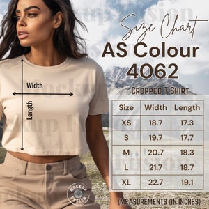 Tabla de tallas beige AS Color 4062, maqueta beige AS Color 4062, tabla de tallas de camisetas recortadas para mujer, tallas de camisetas recortadas, tallas de top recortadas, tabla de tallas