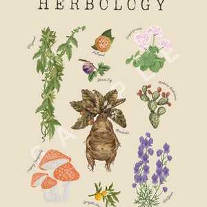 Kräuterkunde Karte Drucken | Magische botanische druckbare Wandkunst | Skurril Zauberhaftes Dekor | Digitaler Download | Botanik Medizinisch