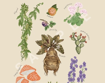 Lámina de herbología para imprimir / Arte botánico caprichoso (Descarga digital)