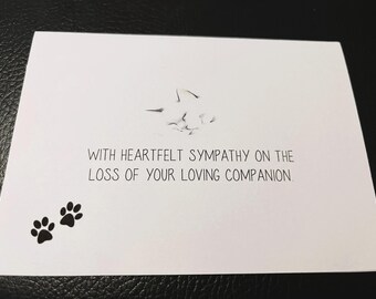 Cat - Loss of Your Companion