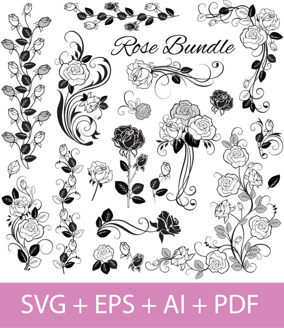 Rose Bundle SVG Rose Vector Vector Flower Cricut and