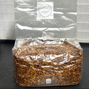 GALNUT 5 pond steriele graanbroedzak – Premium paddenstoelengraanzak | Klaar voor inoculatie | Benodigdheden voor onderzoek en teelt