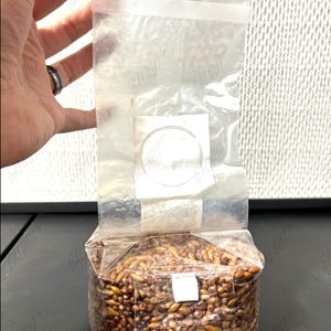 May include: A clear plastic mushroom spawn bag filled with brown grain substrate. The bag features a white circular filter patch on the front and a heat-sealed top. The grain is visible through the transparent plastic material of the bag.