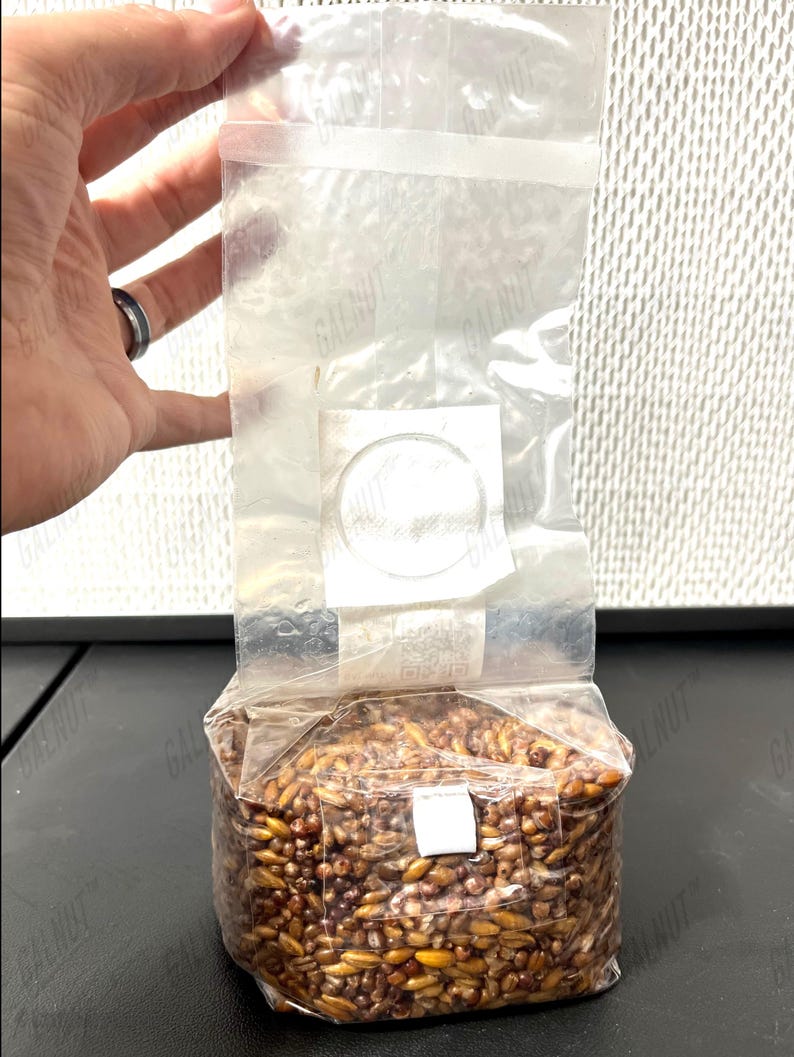 May include: A clear plastic mushroom spawn bag filled with brown grain substrate. The bag features a white circular filter patch on the front and a heat-sealed top. The grain is visible through the transparent plastic material of the bag.