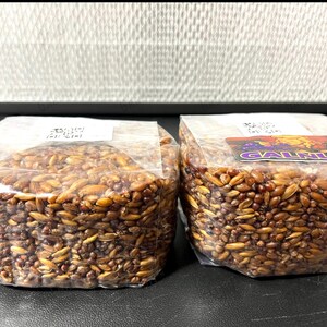 May include: Two clear plastic bags filled with brown, oval-shaped grains. Each bag has a white label on top, and the right bag features a rectangular sticker with the text GALNUT in purple letters and a graphic of a yellow, round character.