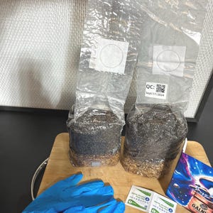 Mushroom Grow Bags: Manure & Coco Coir Substrate - 2 lbs (2-Pack) Double Filter