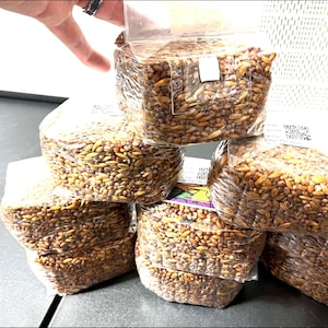 GALNUT 1 lb Sterilized Mushroom Grain Bag | Rye, Oats & Red Milo | Injection Port + Filter Patch | Gourmet Mushroom Spawn Supplies