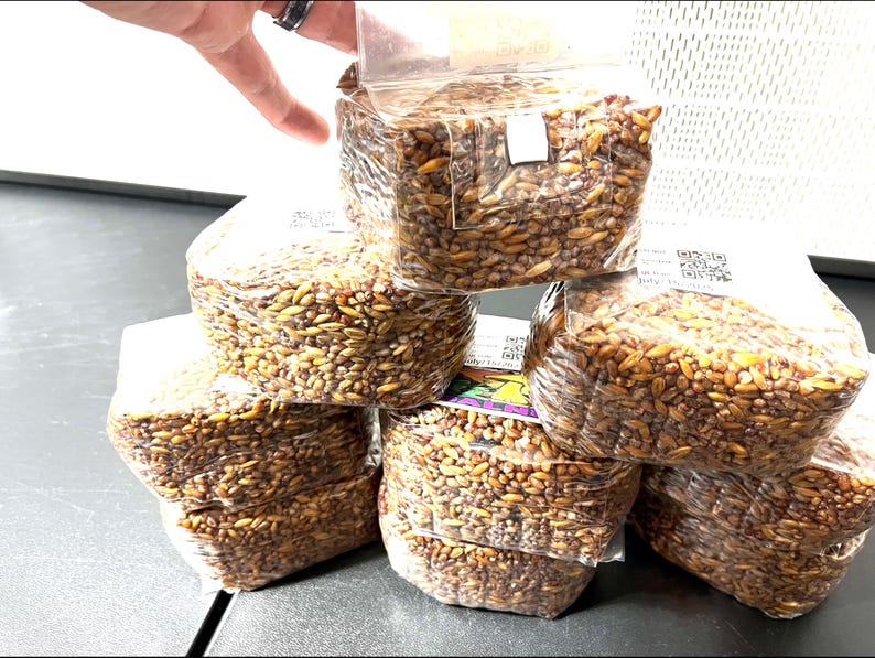 May include: A stack of six clear plastic bags filled with brown grain spawn for mushroom cultivation. Each bag is rectangular, tightly packed with organic grain, and features a white filter patch and a small QR code label on the exterior surface.