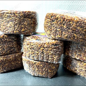May include: A collection of seven rectangular blocks of compressed brown grains, each individually wrapped in clear plastic film. The grains vary in shades of tan, golden brown, and dark brown, creating a textured, dense appearance.