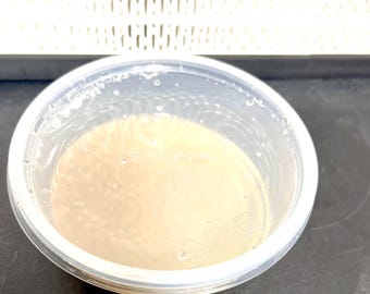 Piastra/e di agar da 90 mm per la coltivazione di funghi (estratto di malto)