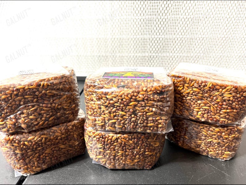 May include: Five rectangular blocks of compressed brown grains, individually wrapped in clear plastic. Each block is densely packed with a mixture of light and dark brown seeds and grains. A small rectangular label with a graphic is visible on top.