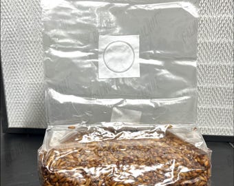 GALNUT Sacchetto di micelio sterile in grani da 5 libbre – Sacchetto di grani per funghi di alta qualità / Pronto per l'inoculazione / Forniture per ricerca e coltivazione