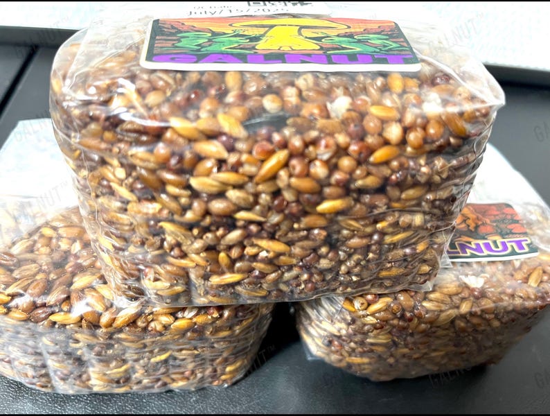 May include: Three rectangular blocks of compressed brown grains packaged in clear plastic wrap. Each block features a rectangular label on top with a yellow mushroom illustration and the text GALNUT in purple capital letters.
