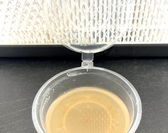 Piastra Petri in agar da 50 mm per la coltivazione di funghi (estratto di malto con microelementi)