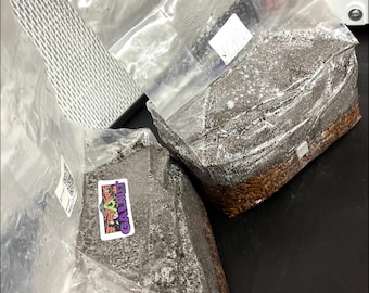 Magical 5lb All-In-One Mushroom Grow Bag | CVG Substrate + Sterile Grain | Manure-Loving Species | Mycology Grow Kit