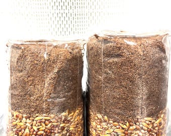 May include: Two clear plastic bags filled with a layered substrate. The bottom layer consists of a mixture of various grains, including light tan and dark brown seeds. The top layer is a dark brown, finely textured organic material.