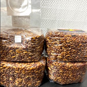 May include: Two clear plastic bags filled with brown grain spawn for mushroom cultivation. The left bag features a white filter patch and a QR code. The right bag has a small rectangular label with a colorful mushroom graphic on top.