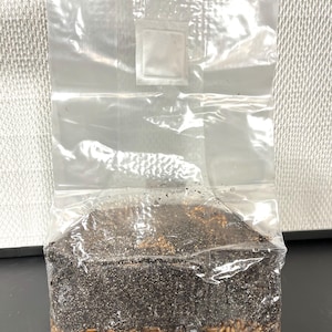 Magical 5lb All-In-One Mushroom Grow Bag | CVG Substrate + Sterile Grain | Manure-Loving Species | Mycology Grow Kit