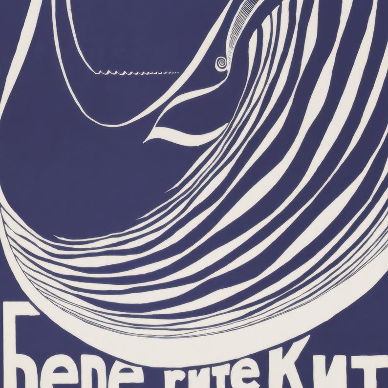 May include: A white whale with a striped pattern on a dark blue background. The whale is curled up in a circle, with its tail and head touching. The whale's eye is visible, and it has a small, spiral-shaped design on its head. The text "bene rute Kit" is visible at the bottom of the image.