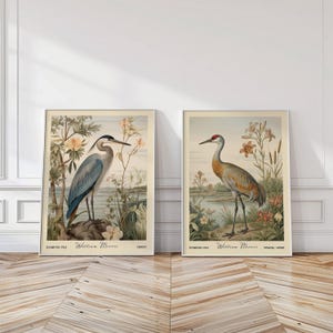 May include: Two framed art prints with vintage bird illustrations. One depicts a blue heron, the other a sandhill crane. Both prints have a cream background with floral and landscape details. The prints are labelled "William Morris".