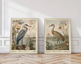Heron and Sandhill Crane William Morris Wall Art Set of 2 - Neutral Beige Wetland Bird Poster