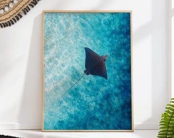 Spotted Eagle Ray Gliding Over a Turquoise Reef, Aerial Ocean Photography Wall Art