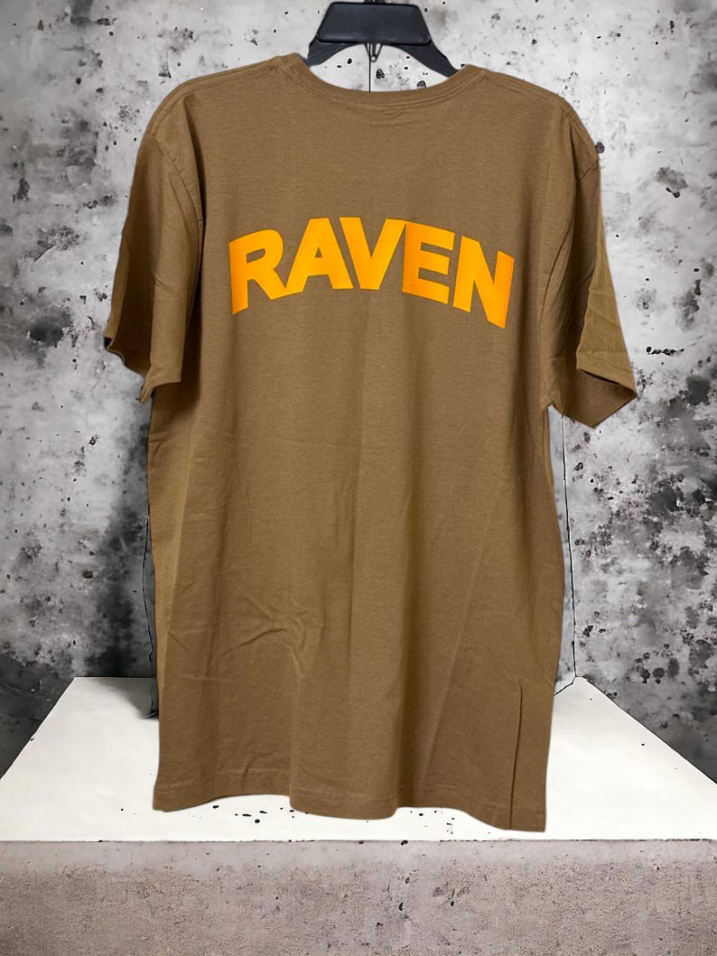 May include: A brown t-shirt with the word "RAVEN" printed in bright orange across the back. The shirt is made of a soft material and has a classic crew neck design. The shirt is hanging on a black hanger.