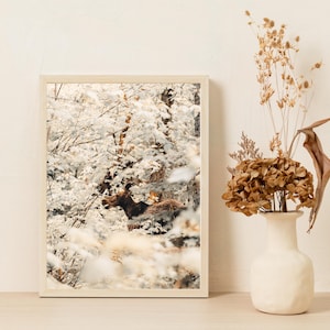 Moose Photography, Baby Moose In Nature, Moose Digital Print, Moose Wall Art, Rustic Home Decor, Wild Life Photography Wall Hanging
