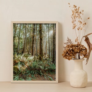 Forest Portrait Digital Print, Moody Forest Poster Home Decor, Wall Hanging Digital Download,Sunlight Through Trees,Serene Landscape
