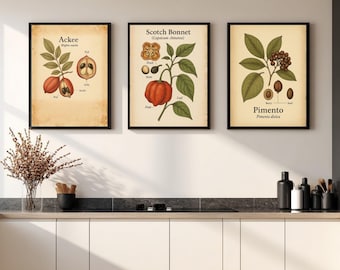 Conjunto de arte mural jamaicano para cocina: láminas botánicas de ackee, pimiento y sapo escocés. Decoración gastronómica caribeña. Descarga digital.