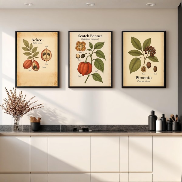 Jamaican Kitchen Wall Art Bundle – Ackee, Pimento & Scotch Bonnet Botanical Prints – Caribbean Food Decor – Digital Download