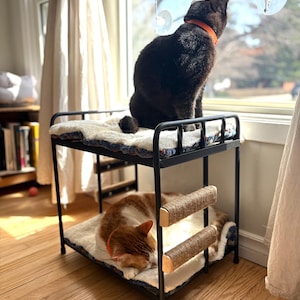Puede incluir: Un gato negro se sienta en la litera superior de una litera de gato de metal negro, mirando por la ventana. Un gato marrón y blanco duerme en la litera inferior. La litera tiene dos postes para rascar de sisal.