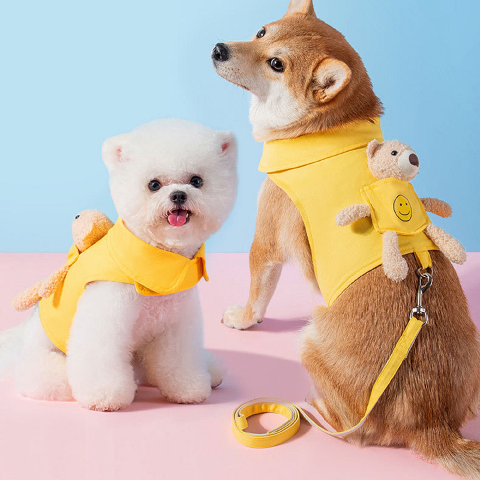 Bear costumes for dogs deals