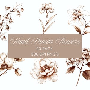 Hand Drawn Flowers Clipart Wedding Invitation Digital Printable Card Making Romantic Floral Bridal Shower Commercial Use
