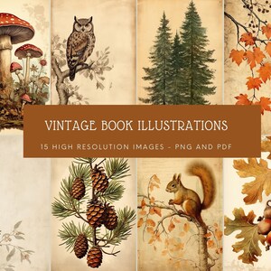 Natur Vintage Buchillustrationen ATC Karten Illustrationen Einzigartige Junk Journal Zubehör Digitales Papier Ephemera Digitale Kommerzielle Nutzung