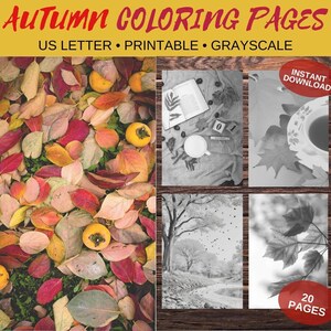 Autumn Greyscale Coloring Pages,Fall Coloring Pages,Adult Coloring,Digital Download, Instant Print,PDF,A4