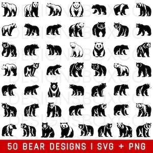 Bear SVG Bundle - Bear PNG Bundle - Bear Clipart - Bear SVG Cut Files for Cricut - Grizzly Bear Svg - Polar Bear Svg - Polar Bear Cut Files