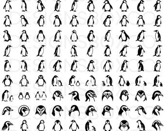Penguin SVG Bundle - Penguin PNG Bundle - Penguin Clipart - Penguin SVG Cut Files for Cricut - Penguin Silhouette - Penguin Cut Files