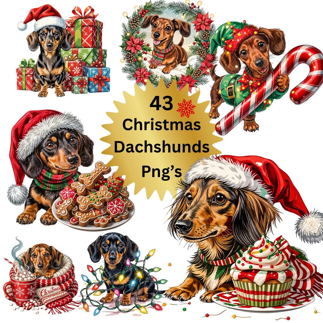 Christmas Dachshund Clipart Bundle, Festive Sausage Dog PNG Set (43 ...