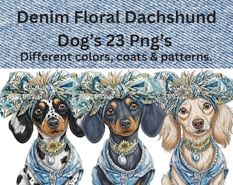 Può includere: Tre illustrazioni di bassotti con giacche di jeans e fasce floreali. I cani hanno diversi colori e motivi del mantello, tra cui bianco e nero, nero pieno e marrone chiaro. L'immagine include il testo "Denim Floral Dachshund Dog's 23 Png's Different colors, coats & patterns."