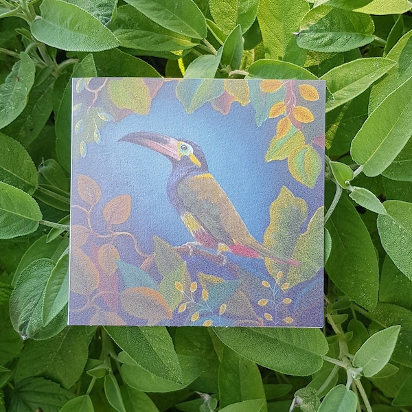 carte "toucan montagnard" acrylique