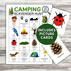Op de afbeelding: Een kampeerspeurtochtspel met plaatjeskaarten. Het spelbord bevat illustraties van items zoals een eikel, vogel, insect en tent. Inclusief plaatjeskaarten met afbeeldingen van een lieveheersbeestje en een dennenappel.