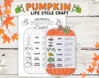 Pumpkin Life Cycle Craft for Kids, Classroom Fall Science Activity, Pumpkin Lifecycle Worksheet