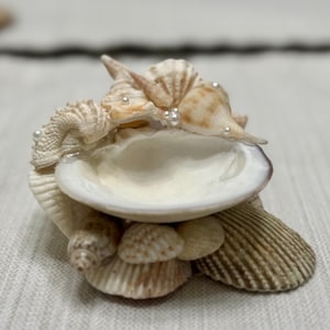 Seashell Jewelry Holder