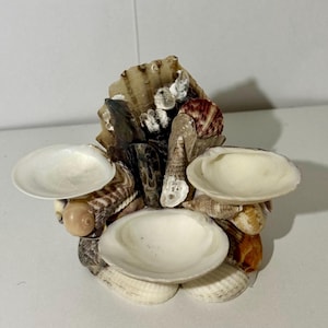 Seashell Jewelry Holder | Coastal Ring & Earring Stand | Beach-Inspired Decor